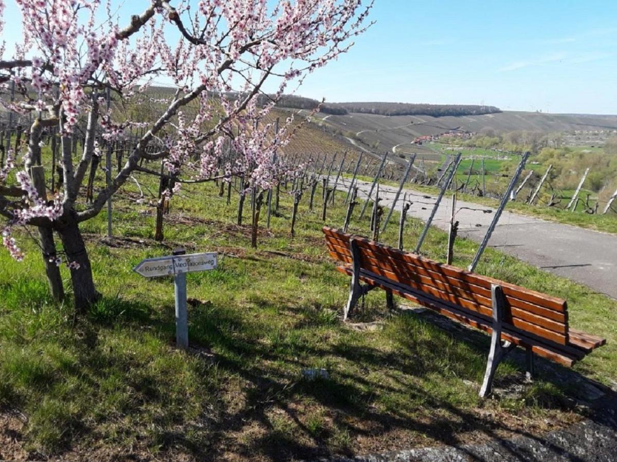 Ferienwohnung - Zimmervermietung Ringelmann Dettelbach Dış mekan fotoğraf
