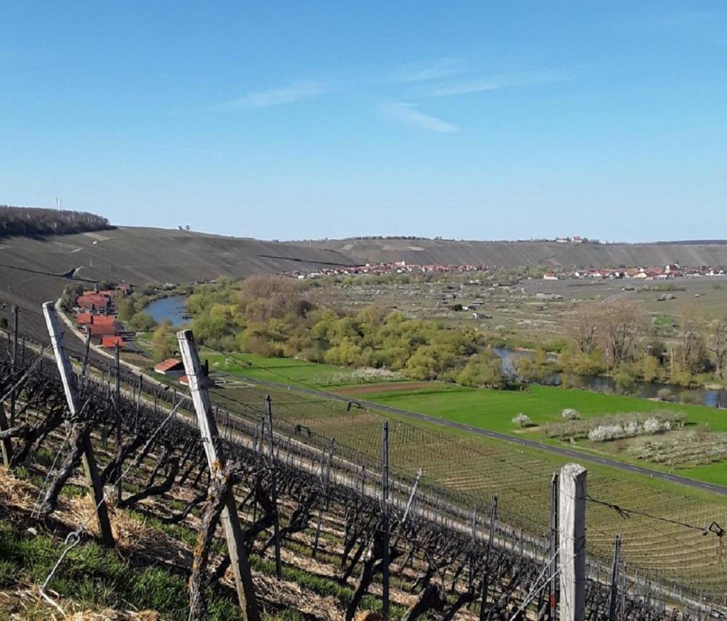 Ferienwohnung - Zimmervermietung Ringelmann Dettelbach Dış mekan fotoğraf