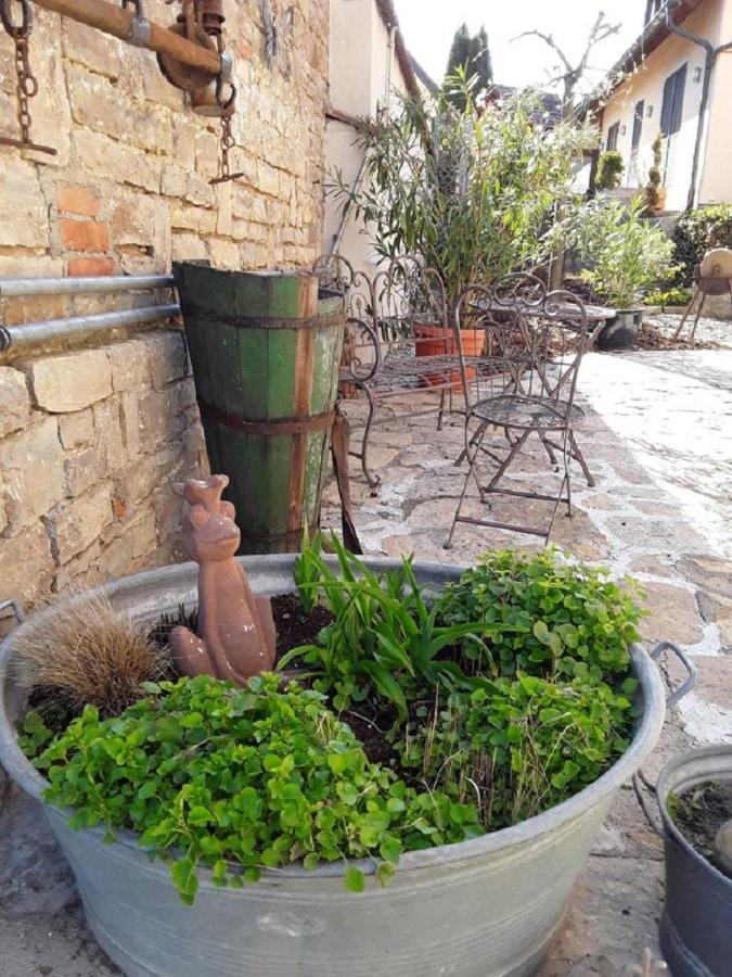Ferienwohnung - Zimmervermietung Ringelmann Dettelbach Dış mekan fotoğraf